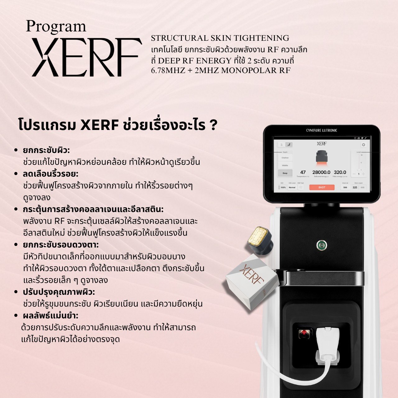 PROGRAM XERFS__15523845