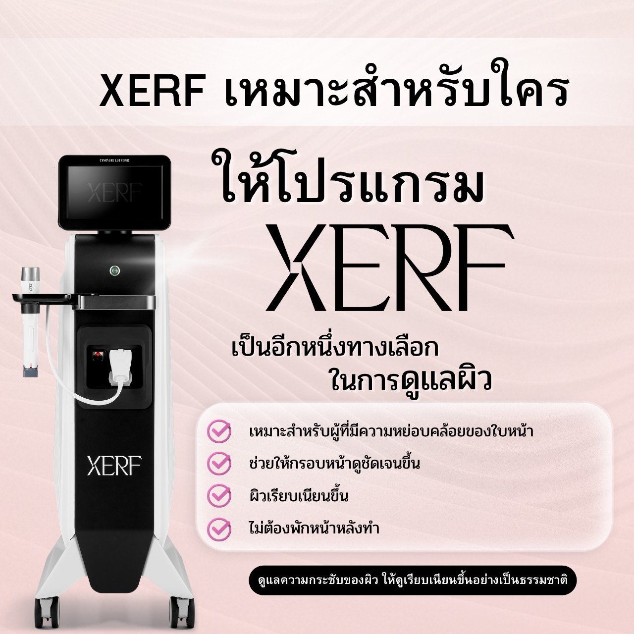 PROGRAM XERFS__15523846